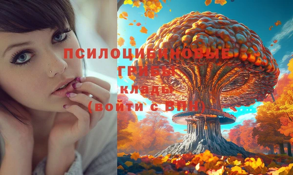 МДПВ Абаза