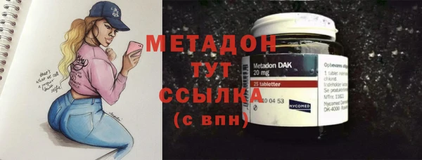 индика Алзамай