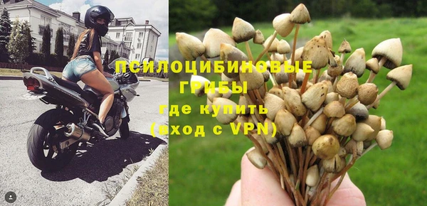 индика Алзамай