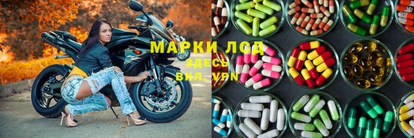 индика Алзамай