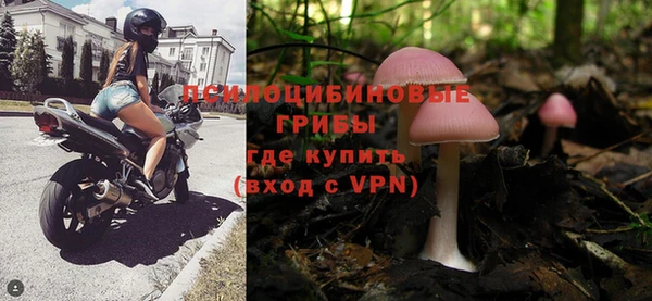 индика Алзамай