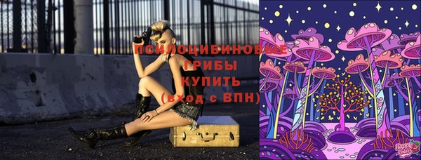 индика Алзамай